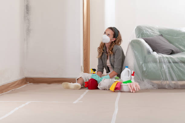 Reliable Mold Cleanup contractor in Saxapahaw, NC by Cheap Mold Removal